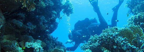 Scubadive in Goa - PADI Scuba Diver