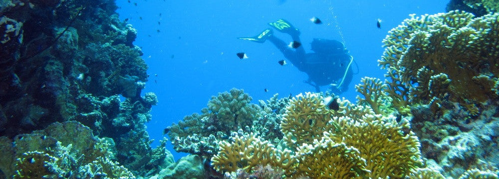 Scubadive in Goa - Advanced Open Water Course