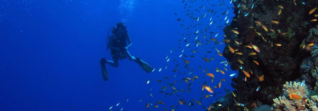 Scubadive in Goa - Rescue Diver